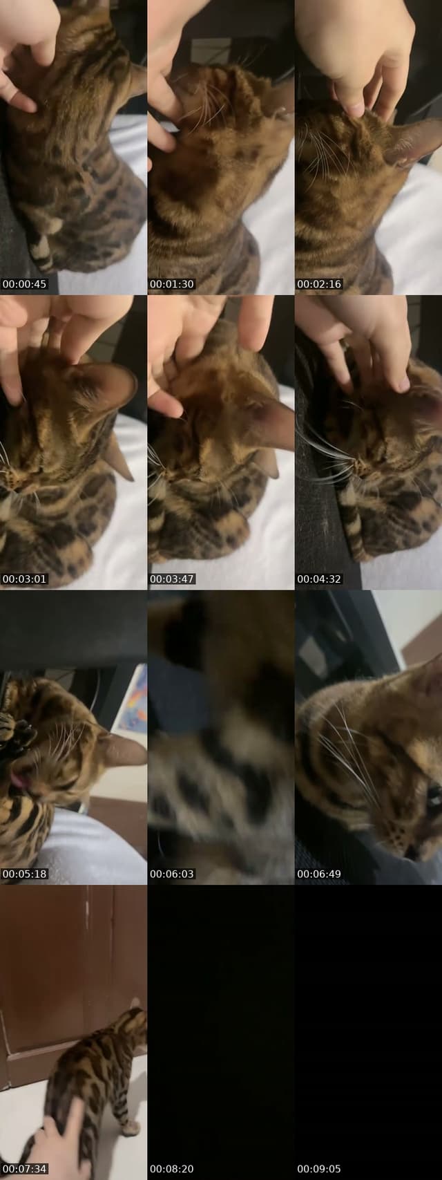 @vyotaa TikTok live