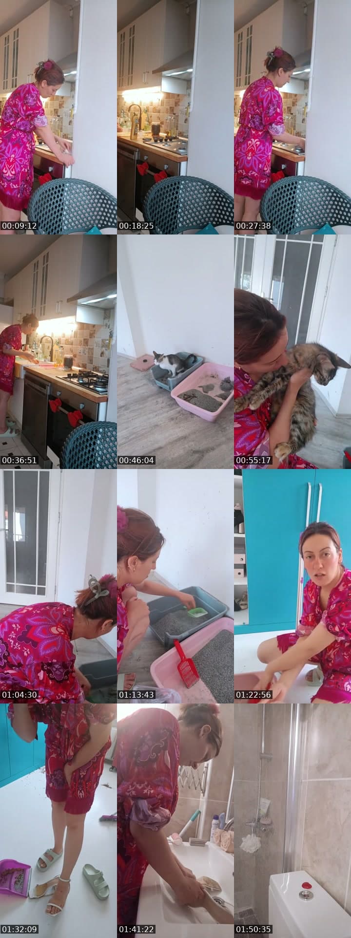 Evde 11 kedim var bu yayın için