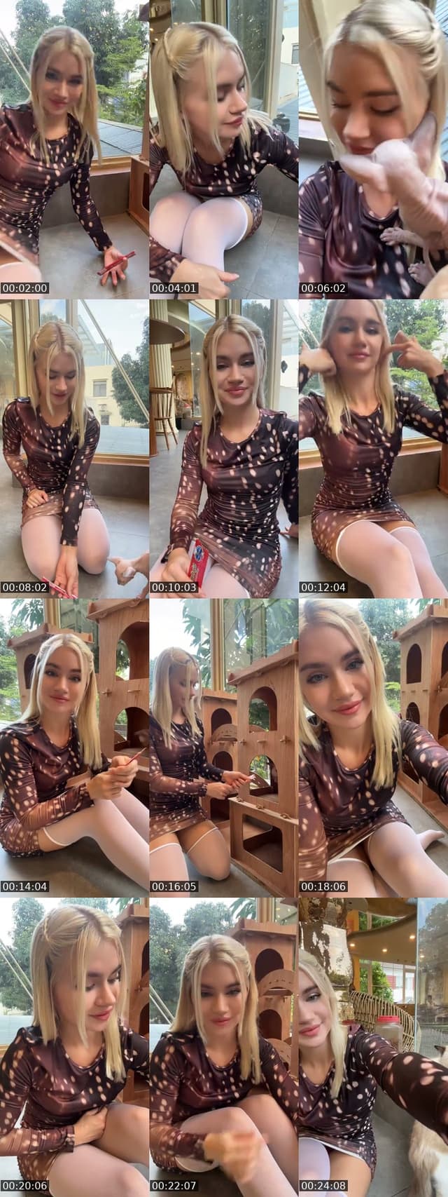 In kitty heaven with Alice🐾 - @aliceswiftylife