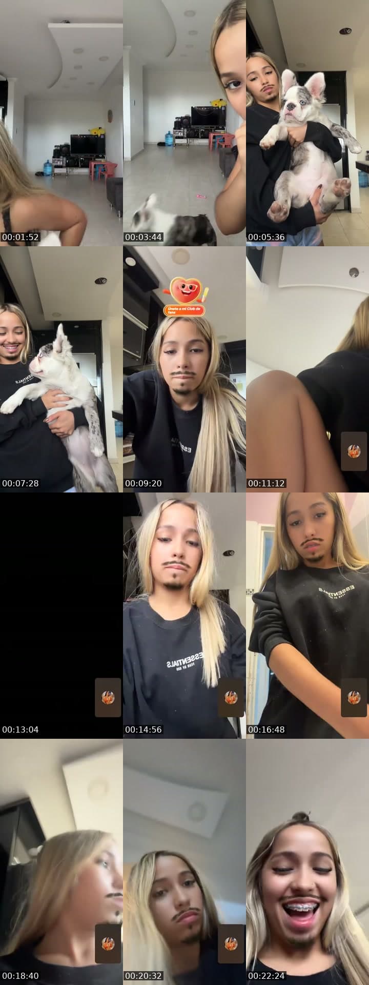 @daryh TikTok live stream