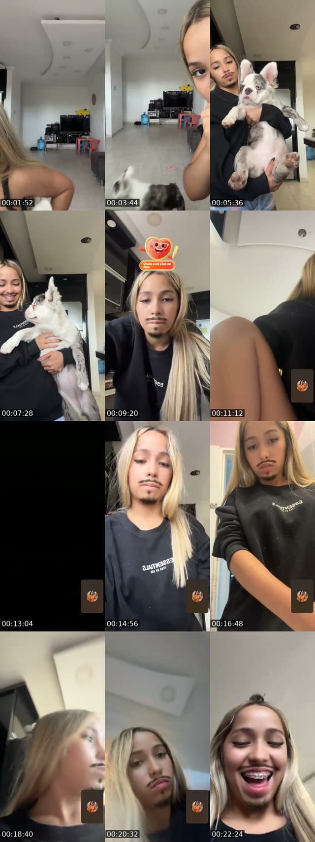 @daryh TikTok live