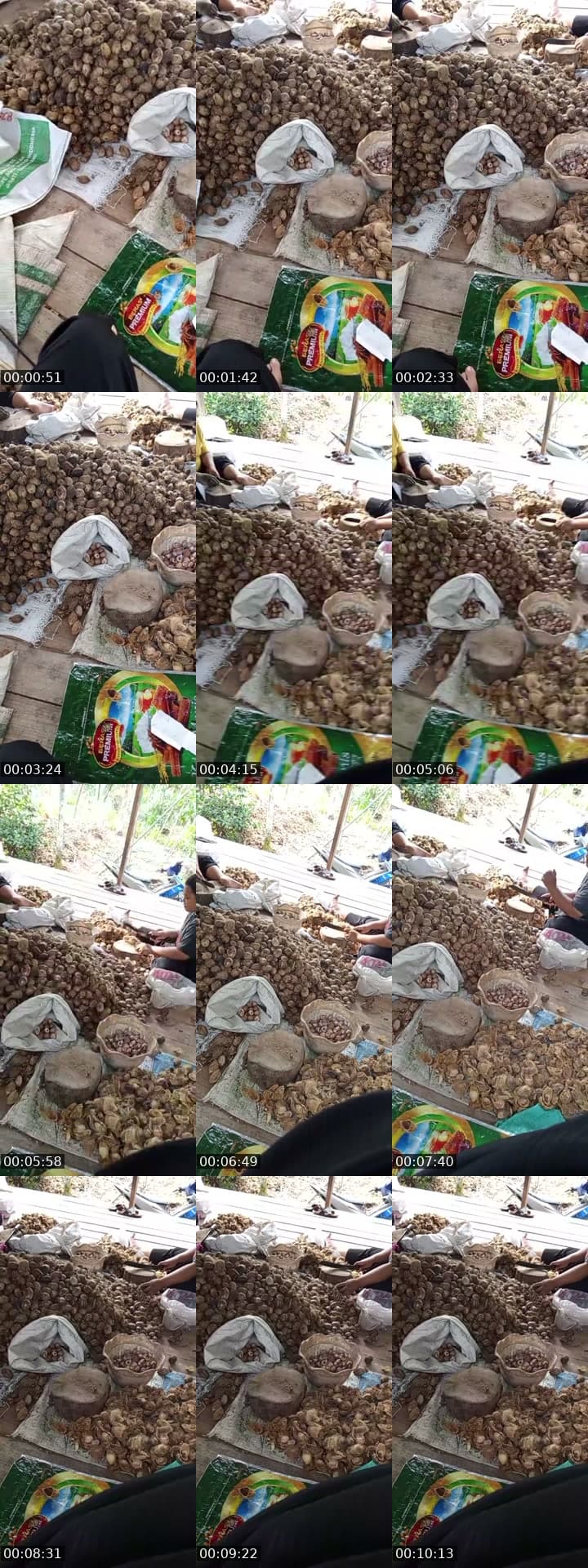 @busuaisya TikTok live stream