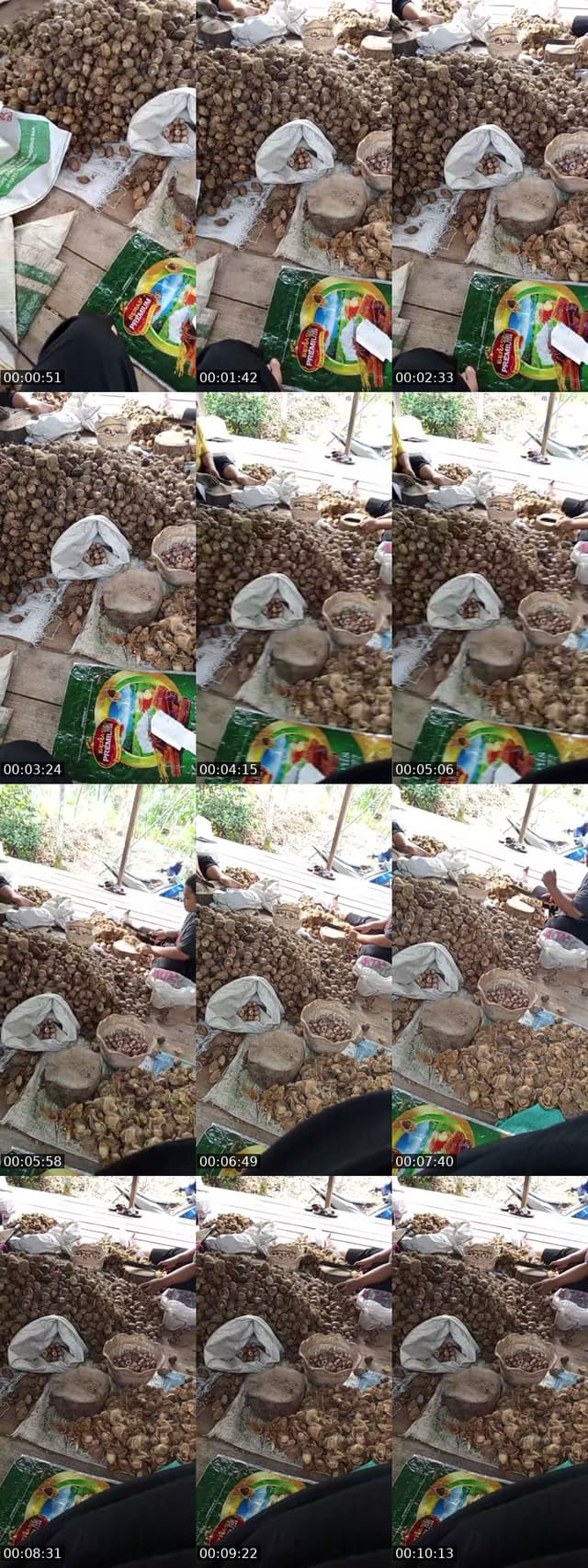 @busuaisya TikTok live