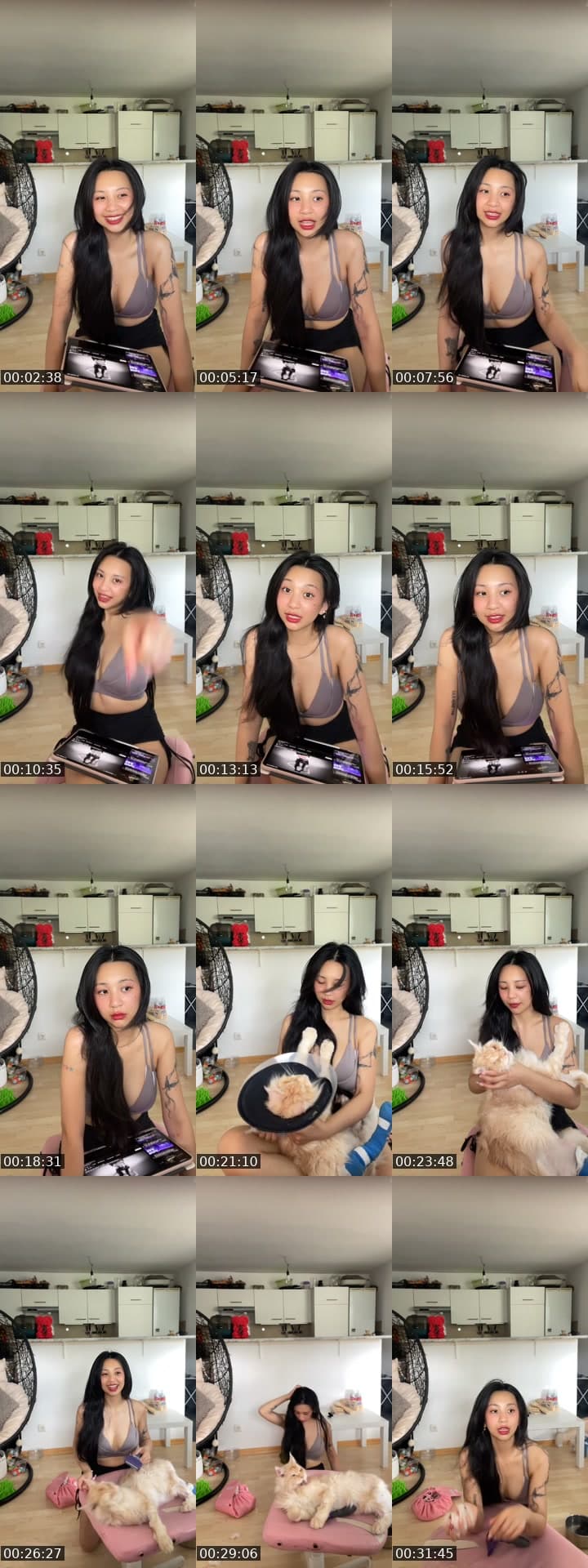 @anny.angsthase TikTok live stream