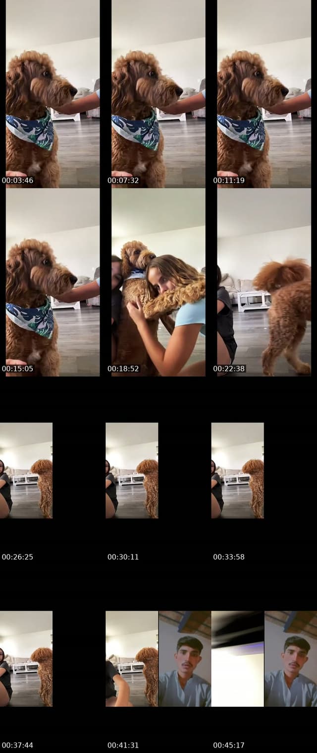 @editzmaybeidk TikTok live from 2026-06-29