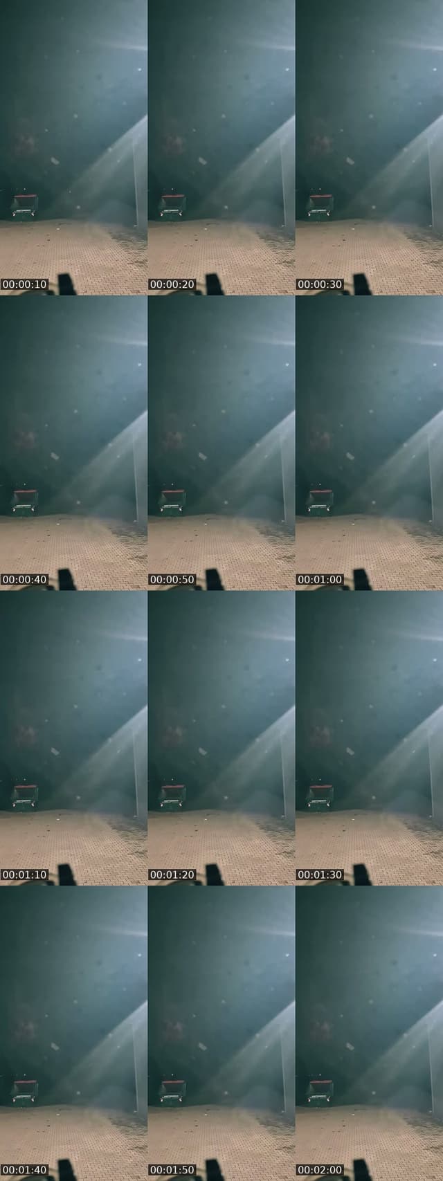 TikTok live: Durch die Nacht mit by @ruhrpottgoere.design