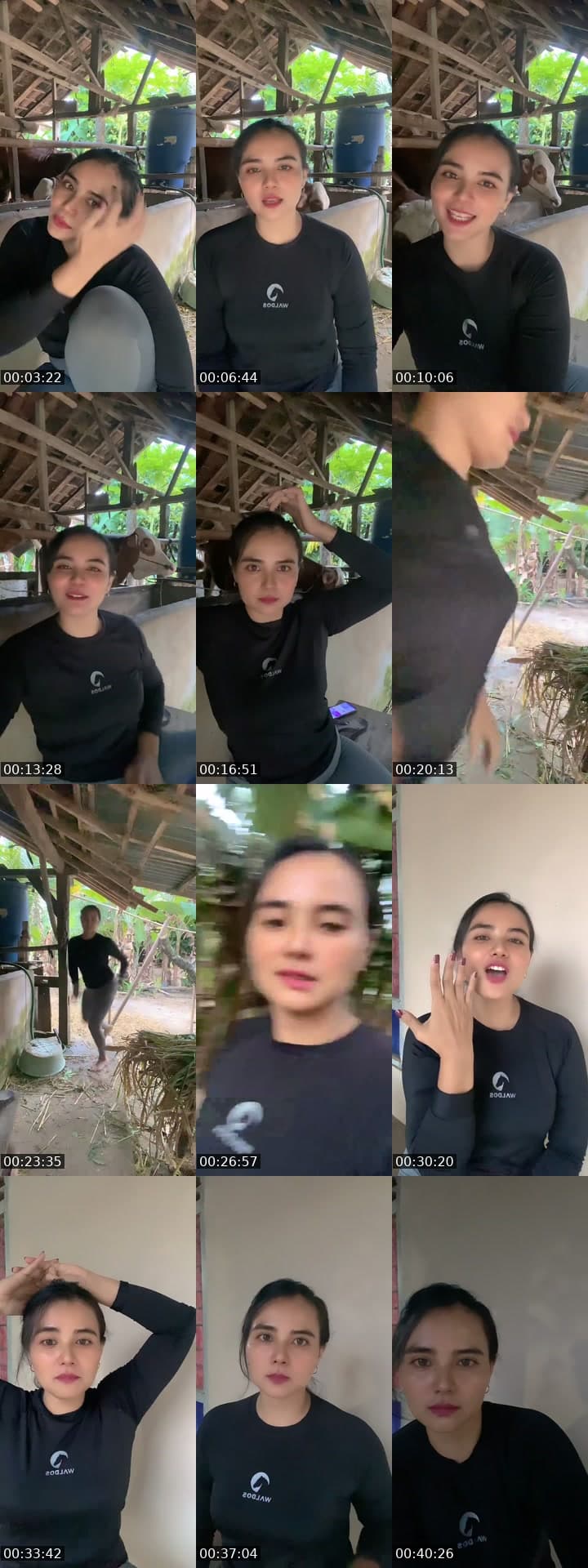 @jandaasli3 TikTok live stream