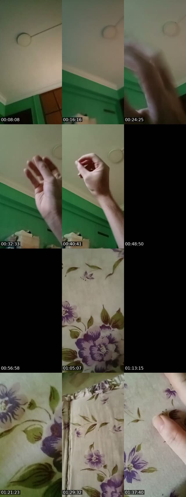 @bearbear11221 TikTok live from 2026-06-10