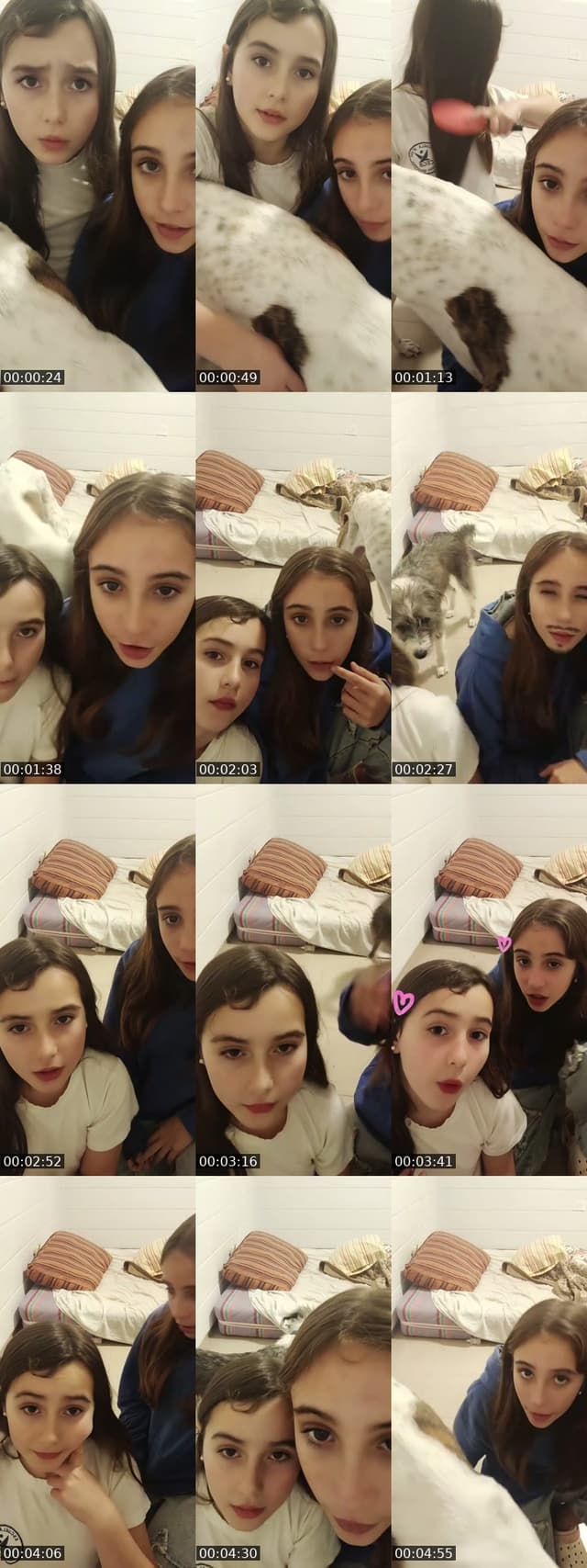 @flor.muri.maca TikTok live from 2026-06-11