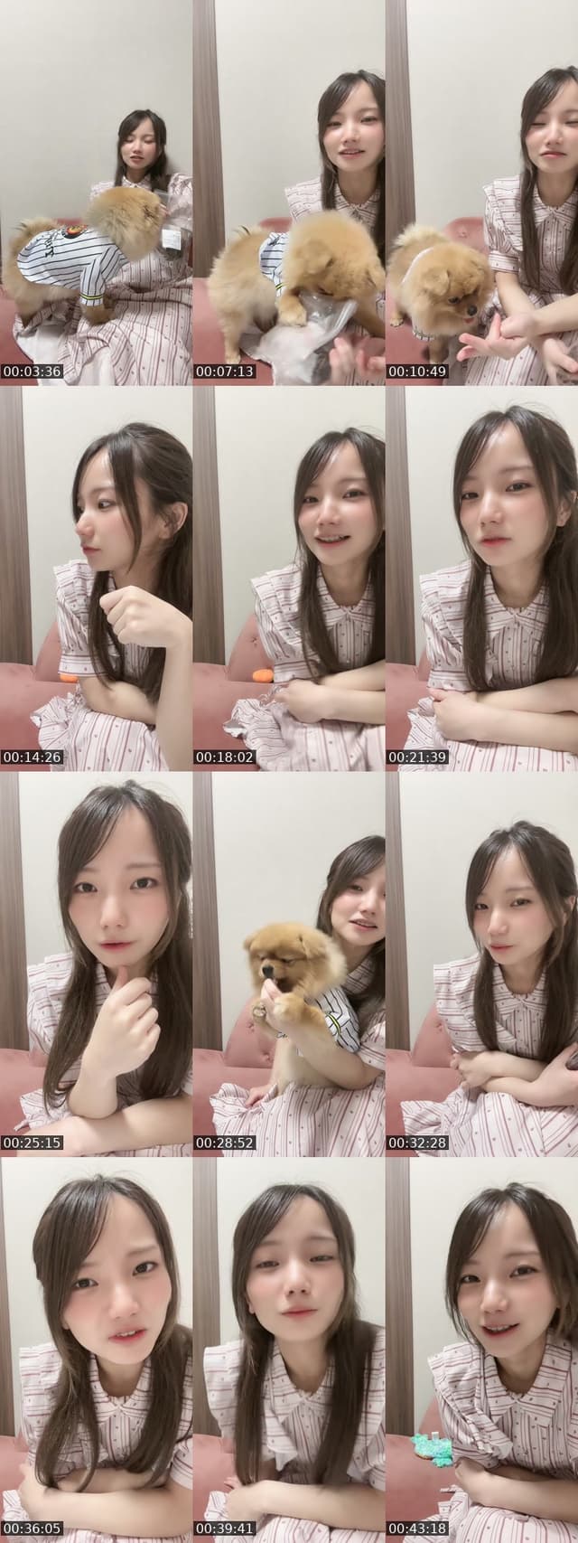TikTok live: わんわん by @omochi00mochimochi