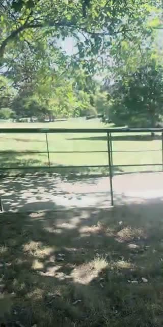 @from.my.silenc TikTok live stream