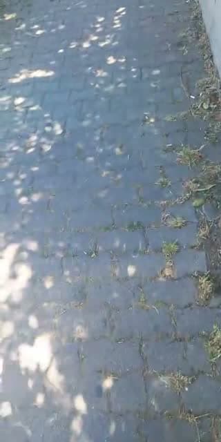 @sev52.3 TikTok live stream