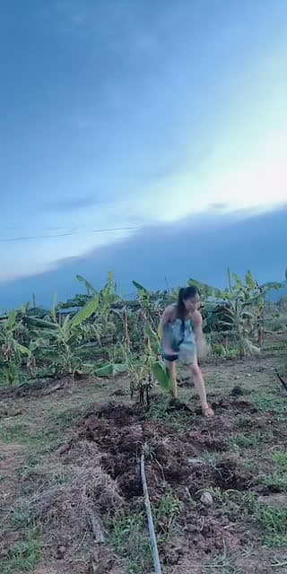 @nhuylee.2000 TikTok live stream