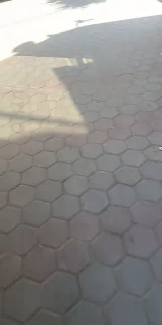 @to.u11 TikTok live