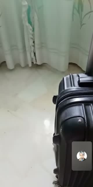 @bearbear11221 TikTok live from 2026-06-20