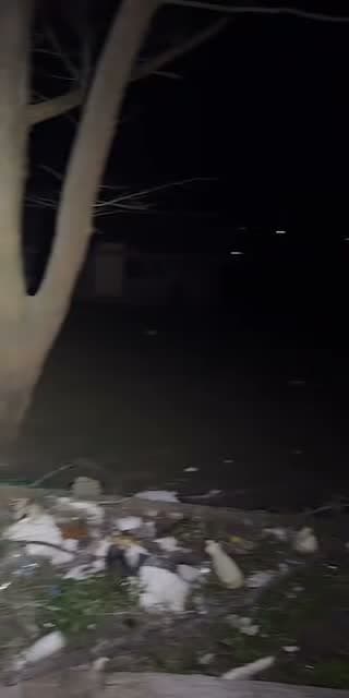 ULEK MAYANG PERMAINAN