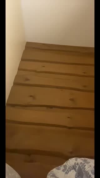 @markmynister TikTok live from 2026-06-19