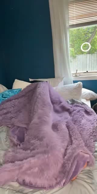 @meowwoah2 TikTok live