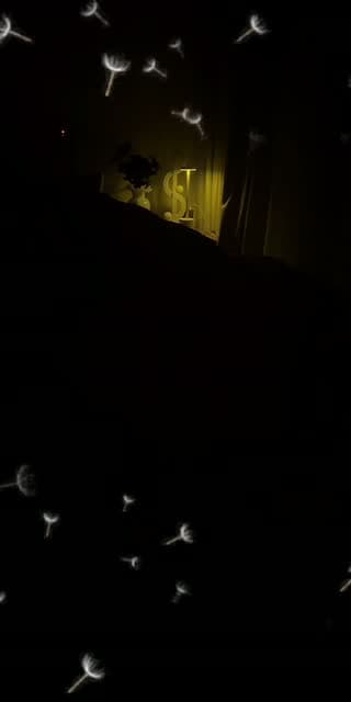 @ammll.77 TikTok live stream