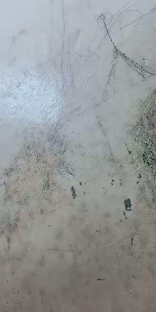 @_widya.selatan10 TikTok live stream