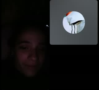 @margaridamarques183 TikTok live stream