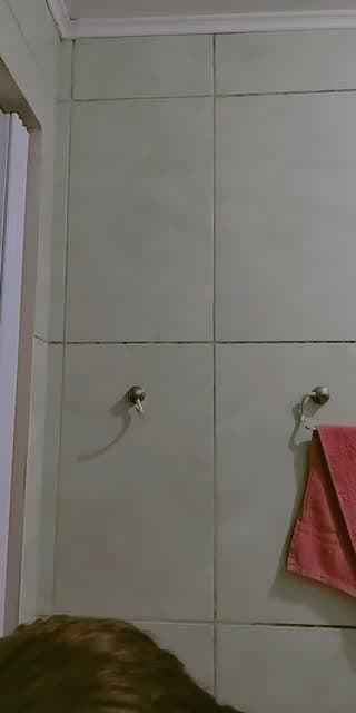 @estrelinha.reserv TikTok live stream