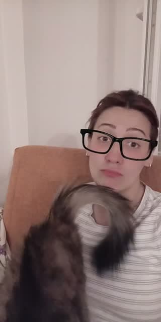Evde 11 kedim var bu yayın için - @busra_ak_2