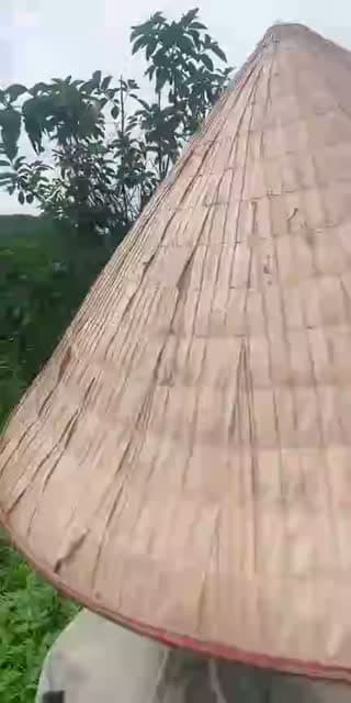 @huong_linh97 TikTok live