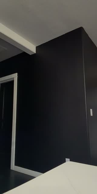 @morgan.ec TikTok live stream