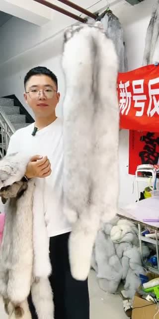 @daju888fox TikTok live stream