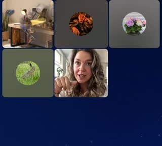 @rene.hejlesen71 TikTok live from 2026-06-20