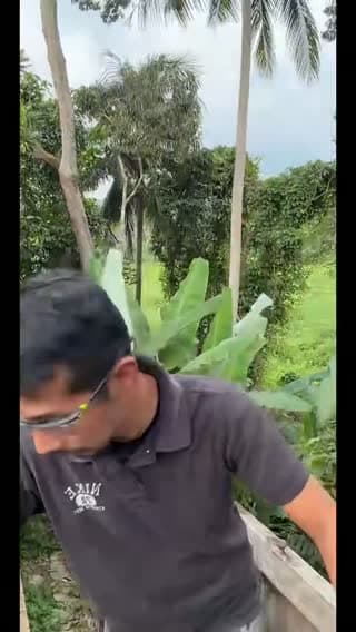 Durian
