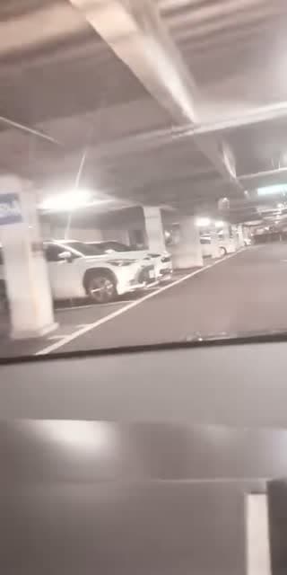 見に来てね