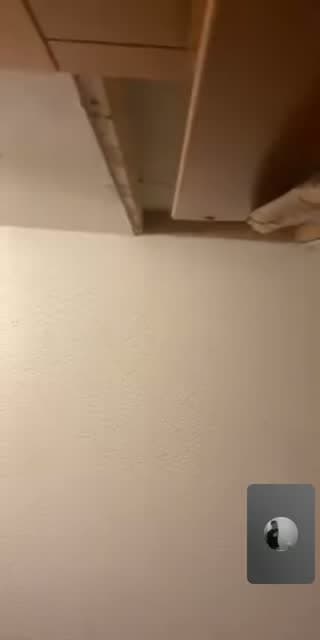 @dodge14250sunseta TikTok live