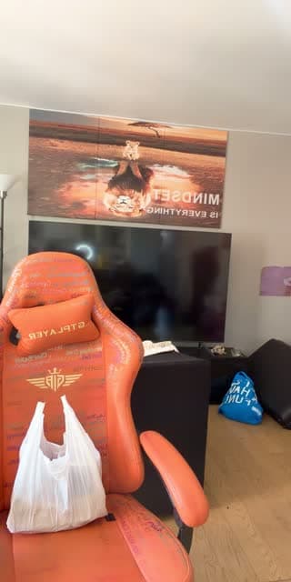 @divineelifee TikTok live stream