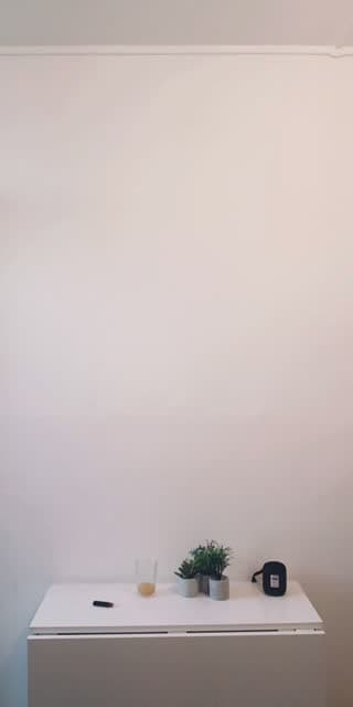 @bella360sur TikTok live stream