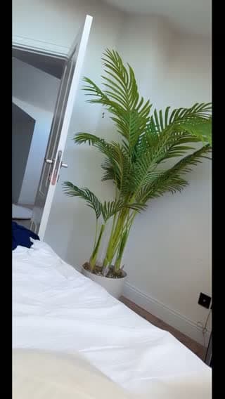 @dilanoztur2 TikTok live from 2026-06-21