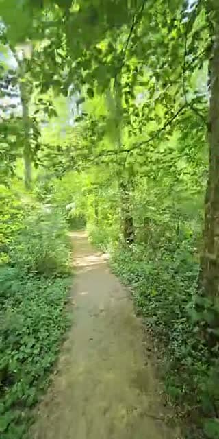 ✨️✨️ Château et Nature ✨️✨️