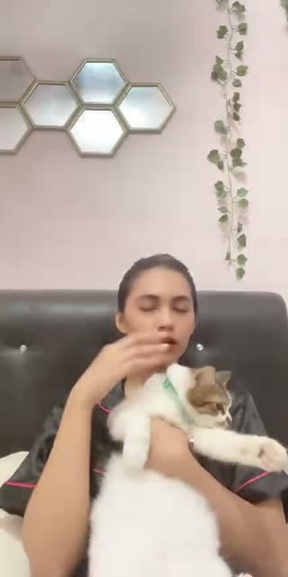 TikTok live: Hi by @loyraa6
