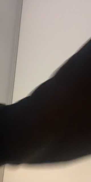 @_iamj4 TikTok live stream