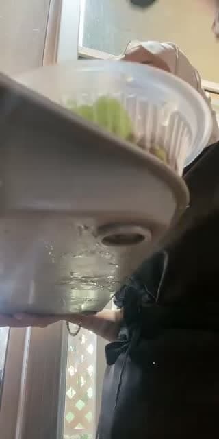 DATANG SEKARANG