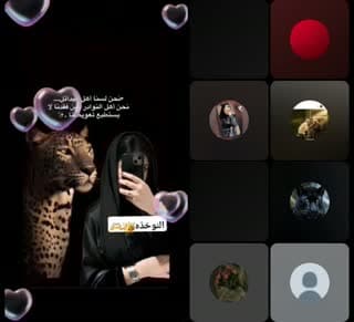 @ana_alamira TikTok live stream