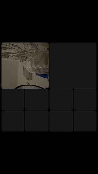 @chloebrasil4 TikTok live
