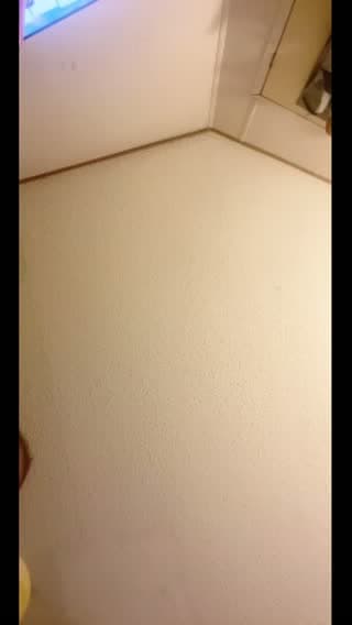@dodge14250sunseta TikTok live stream