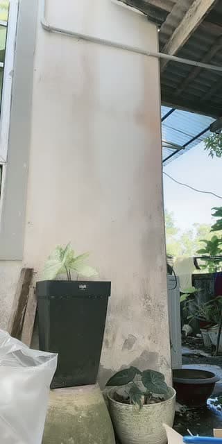 @fiyyna_ TikTok live