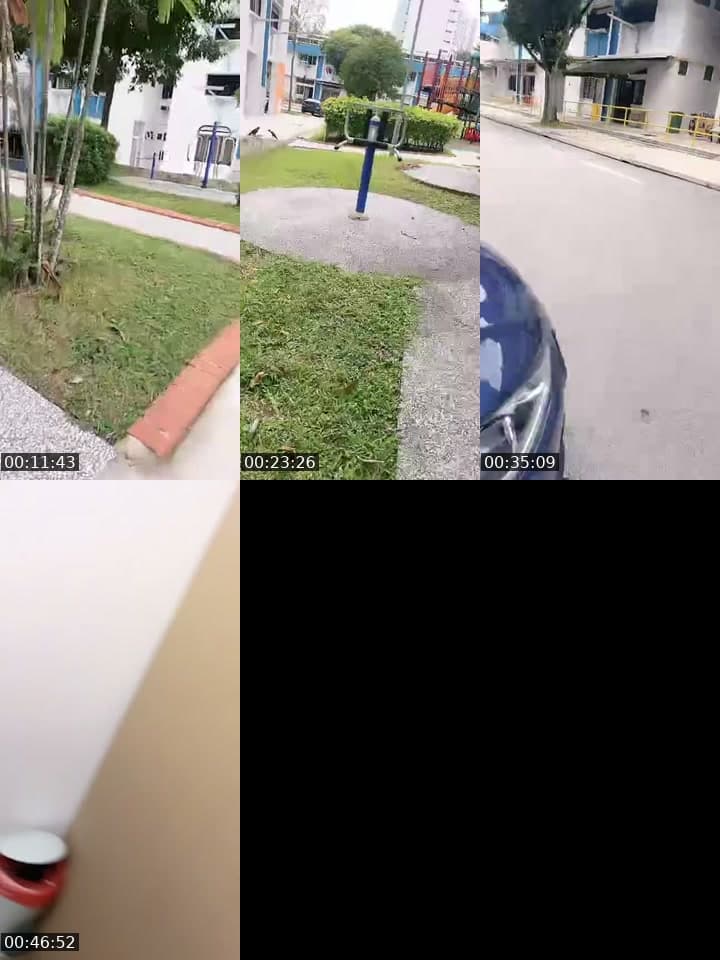 @lansidaimia TikTok live stream