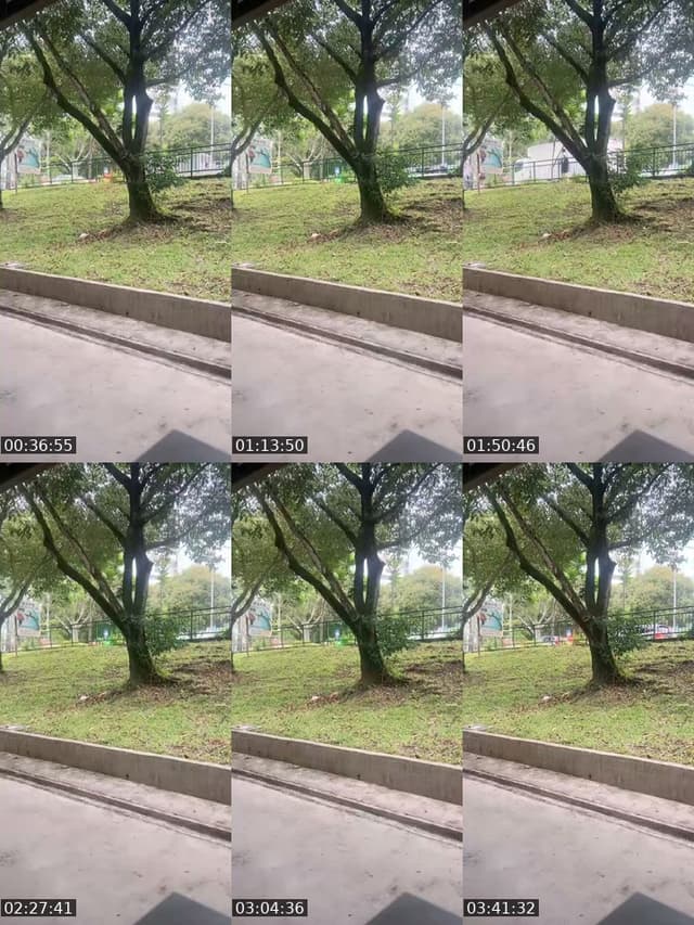 @lansidaimia TikTok live