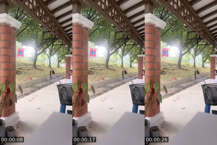 @lansidaimia TikTok live stream