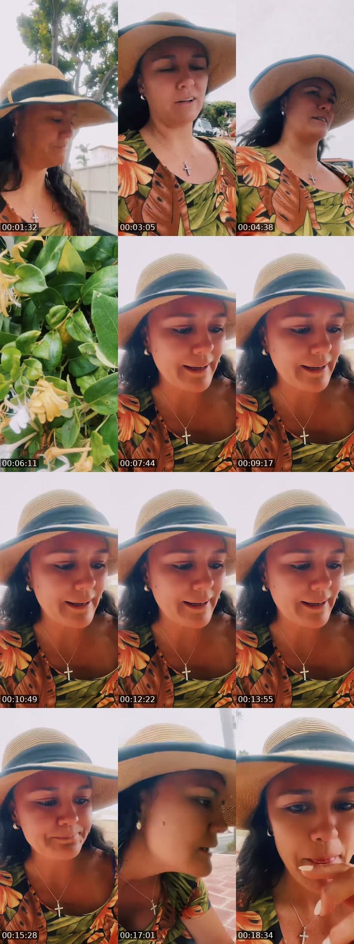 @lemon_hoku TikTok live stream