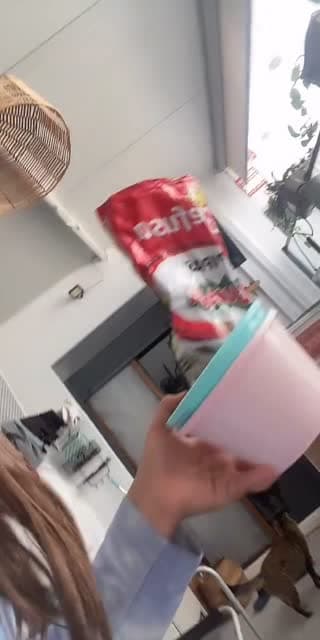@fillets21 TikTok live stream